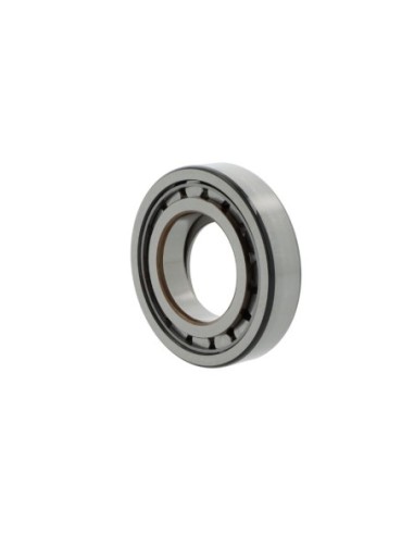 NUP310 ECJ/C3 | SKF